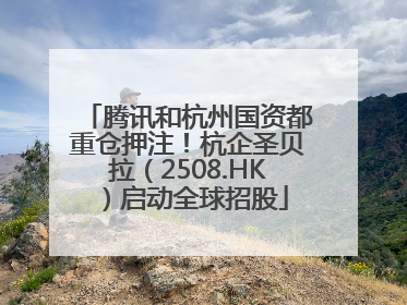 腾讯和杭州国资都重仓押注！杭企圣贝拉（2508.HK）启动全球招股
