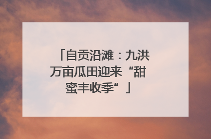 自贡沿滩：九洪万亩瓜田迎来“甜蜜丰收季”