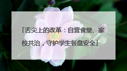 舌尖上的改革：自营食堂、家校共治，守护学生餐盘安全