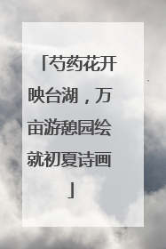 芍药花开映台湖，万亩游憩园绘就初夏诗画