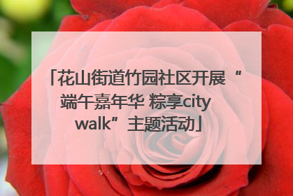 花山街道竹园社区开展“端午嘉年华 粽享city walk”主题活动
