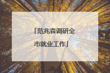 范兆森调研全市就业工作