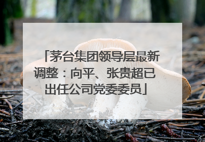 茅台集团领导层最新调整：向平、张贵超已出任公司党委委员