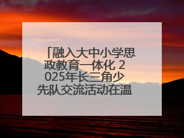 融入大中小学思政教育一体化 2025年长三角少先队交流活动在温岭举办