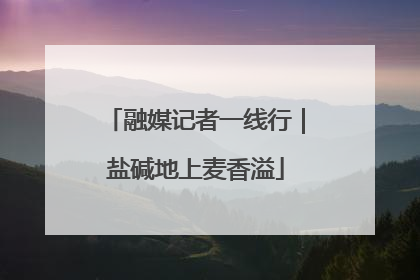 融媒记者一线行｜盐碱地上麦香溢