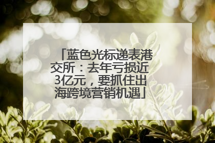 蓝色光标递表港交所：去年亏损近3亿元，要抓住出海跨境营销机遇
