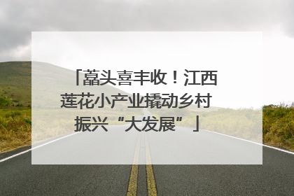藠头喜丰收！江西莲花小产业撬动乡村振兴“大发展”