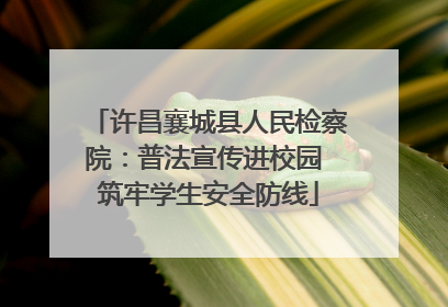 许昌襄城县人民检察院：普法宣传进校园 筑牢学生安全防线