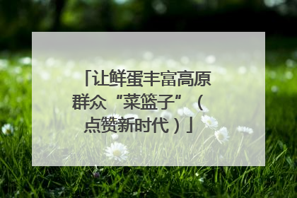 让鲜蛋丰富高原群众“菜篮子”（点赞新时代）