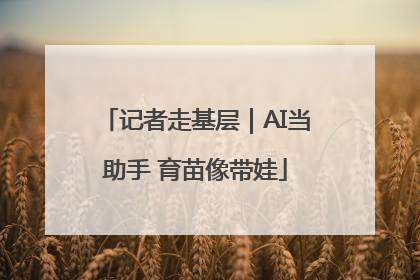 记者走基层｜AI当助手 育苗像带娃