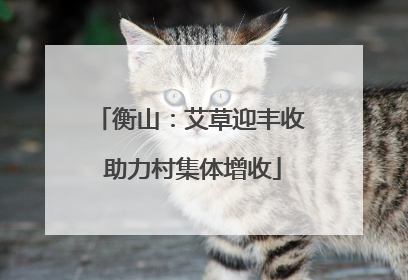 衡山：艾草迎丰收 助力村集体增收
