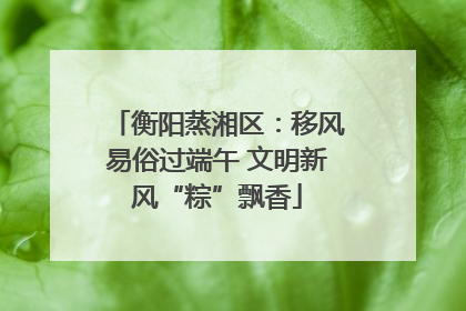 衡阳蒸湘区：移风易俗过端午 文明新风“粽”飘香