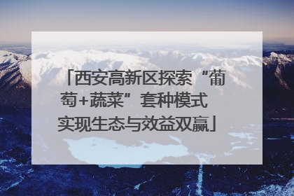 西安高新区探索“葡萄+蔬菜”套种模式 实现生态与效益双赢