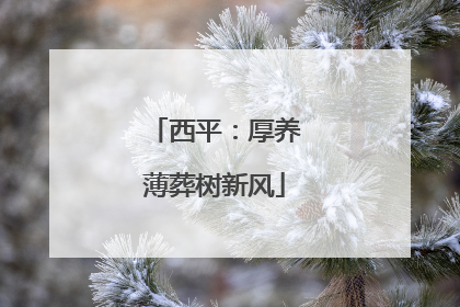 西平：厚养薄葬树新风