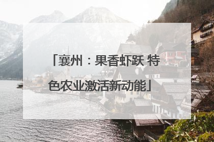 襄州：果香虾跃 特色农业激活新动能