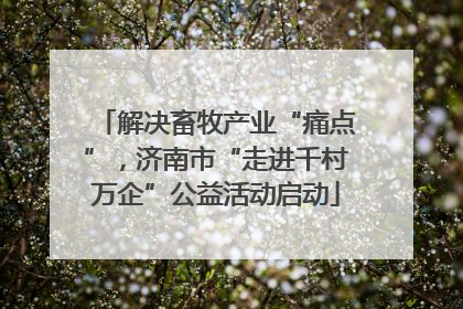 解决畜牧产业“痛点”，济南市“走进千村万企”公益活动启动