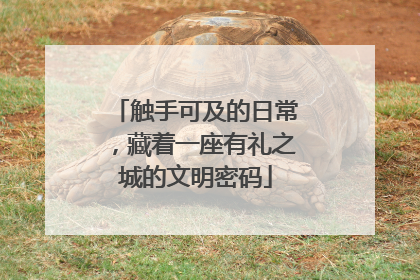 触手可及的日常，藏着一座有礼之城的文明密码