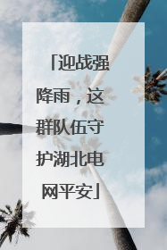 迎战强降雨，这群队伍守护湖北电网平安