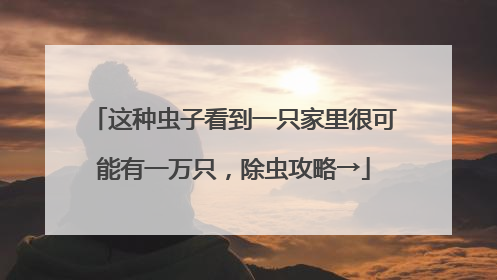 这种虫子看到一只家里很可能有一万只，除虫攻略→