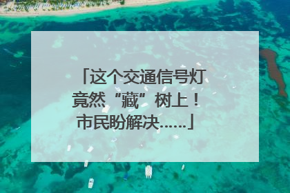 这个交通信号灯竟然“藏”树上！市民盼解决……