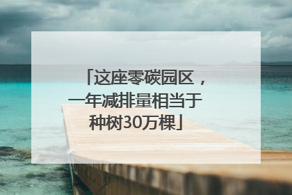 这座零碳园区，一年减排量相当于种树30万棵