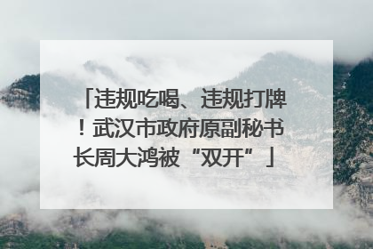 违规吃喝、违规打牌！武汉市政府原副秘书长周大鸿被“双开”