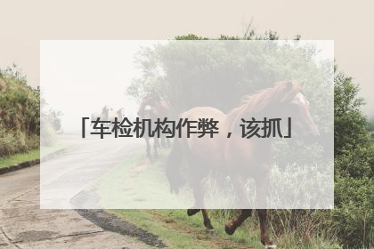 车检机构作弊，该抓