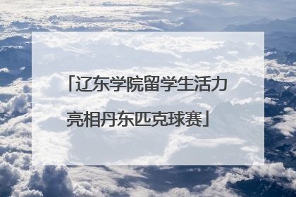 辽东学院留学生活力亮相丹东匹克球赛