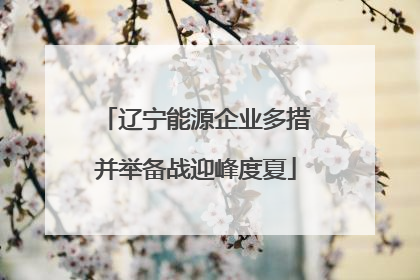 辽宁能源企业多措并举备战迎峰度夏