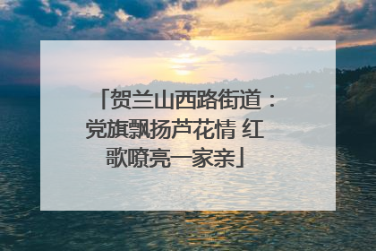贺兰山西路街道：党旗飘扬芦花情 红歌嘹亮一家亲