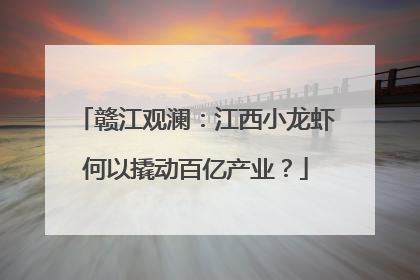 赣江观澜：江西小龙虾何以撬动百亿产业？