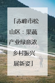 赤峰市松山区：果蔬产业绿意浓 乡村振兴展新姿