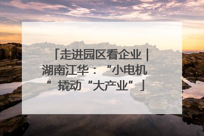 走进园区看企业｜湖南江华：“小电机”撬动“大产业”