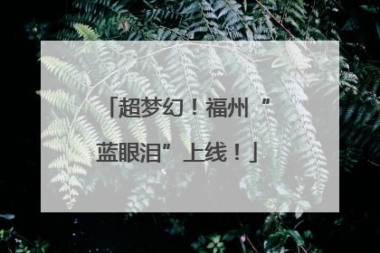 超梦幻！福州“蓝眼泪”上线！