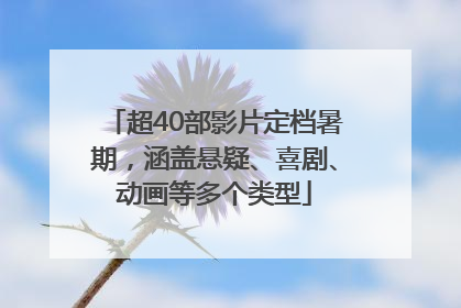 超40部影片定档暑期，涵盖悬疑、喜剧、动画等多个类型