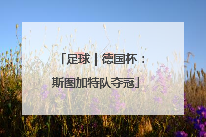 足球｜德国杯：斯图加特队夺冠