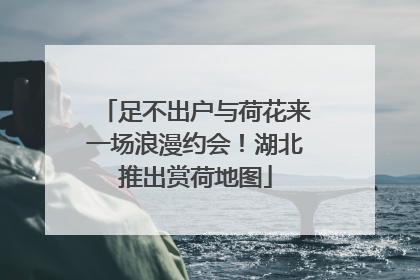 足不出户与荷花来一场浪漫约会！湖北推出赏荷地图
