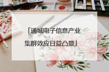 通城电子信息产业集群效应日益凸显