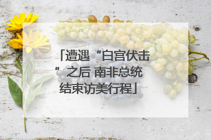 遭遇“白宫伏击”之后 南非总统结束访美行程