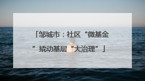 邹城市：社区“微基金”撬动基层“大治理”