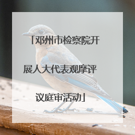 邓州市检察院开展人大代表观摩评议庭审活动