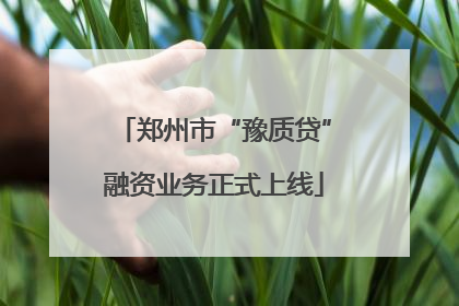 郑州市“豫质贷”融资业务正式上线