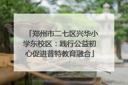 郑州市二七区兴华小学东校区：践行公益初心促进普特教育融合