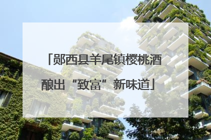 郧西县羊尾镇樱桃酒酿出“致富”新味道