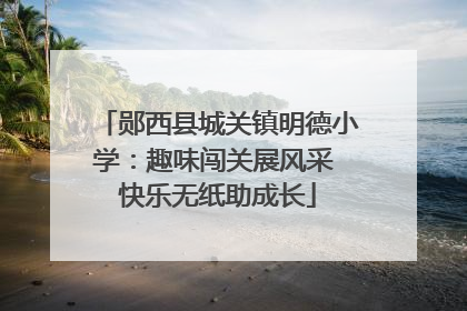 郧西县城关镇明德小学：趣味闯关展风采 快乐无纸助成长