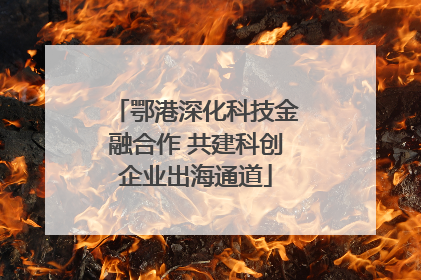鄂港深化科技金融合作 共建科创企业出海通道