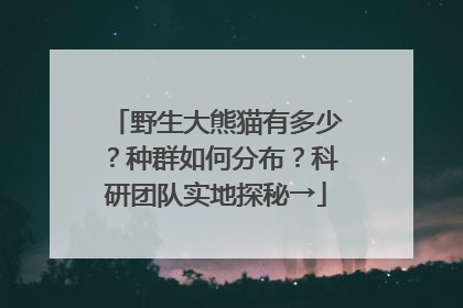 野生大熊猫有多少？种群如何分布？科研团队实地探秘→