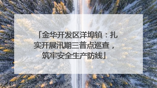 金华开发区洋埠镇：扎实开展汛期三普点巡查，筑牢安全生产防线