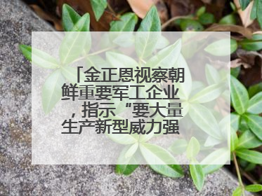 金正恩视察朝鲜重要军工企业，指示“要大量生产新型威力强大的炮弹”