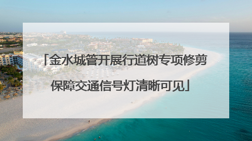 金水城管开展行道树专项修剪 保障交通信号灯清晰可见